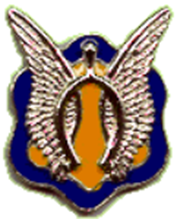 Photo of 17th Cavalry Regiment Patch  